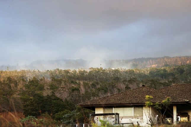 Đám cháy rừng tàn phá thành phố nghỉ dưỡng ở Hawaii, 36 người thiệt mạng - Ảnh 12.