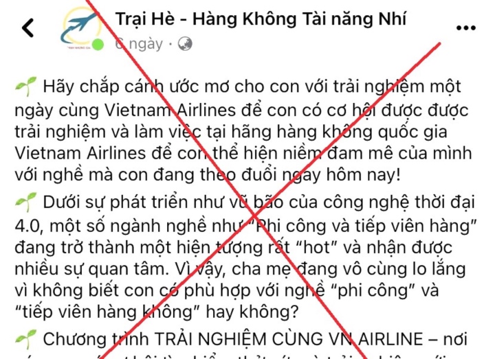 Dùng hình ảnh trái phép của Vietnam Airlines lừa một phụ nữ hơn 2,6 tỷ đồng - Ảnh 1.