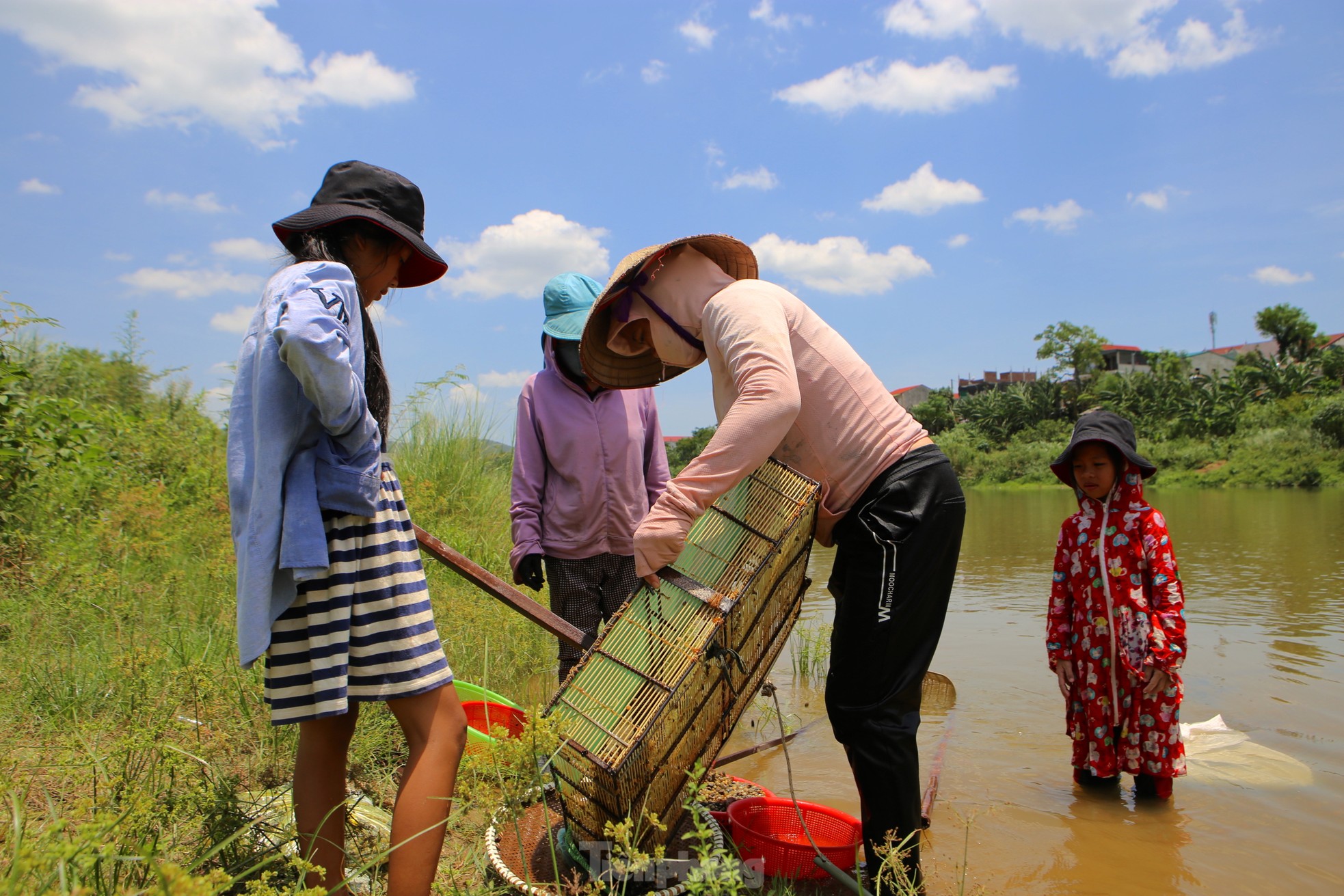 Ngâm mình hàng giờ cào hến trên sông Ngàn Phố - Ảnh 11.