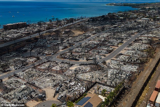 Sống sót giữa bão lửa trong thảm họa cháy rừng tại Hawaii, ngôi nhà trị giá 95 tỷ tạo ra cảnh tượng thần kỳ - Ảnh 8.