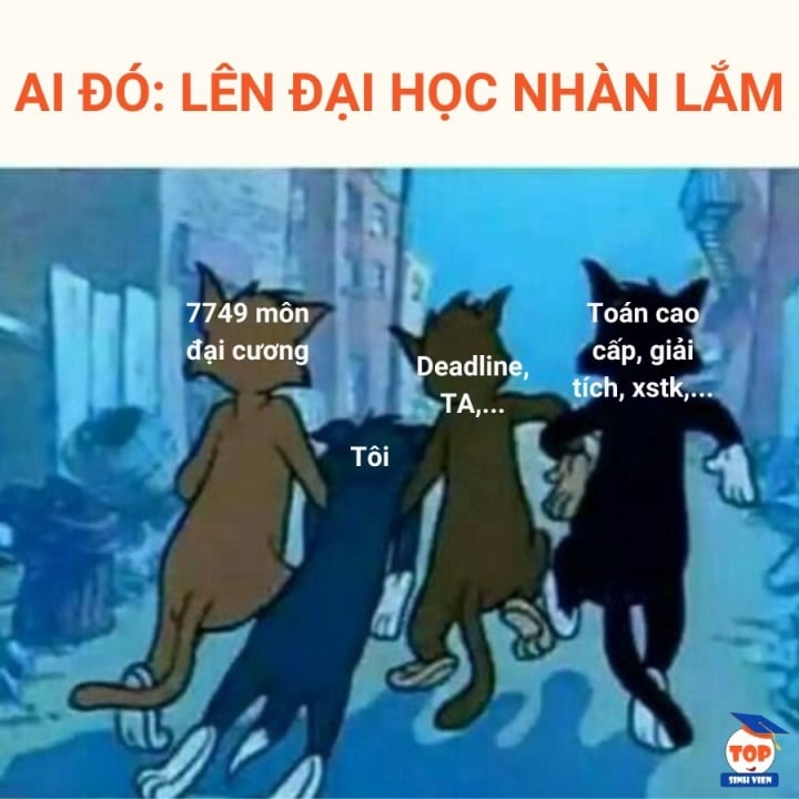 Hài hước ảnh chế trước ngày tân sinh viên nhập học - Ảnh 5.