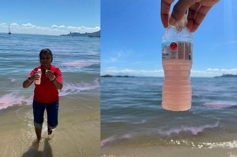 Nước biển tại Malaysia bất ngờ chuyển hồng - Ảnh 1.