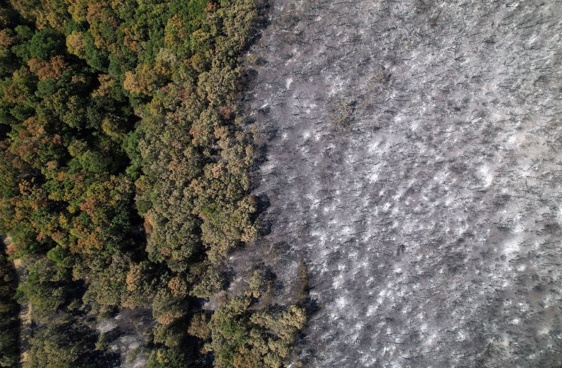 Cháy rừng ở Hy Lạp thiêu rụi diện tích lớn hơn cả thành phố New York - Ảnh 1.
