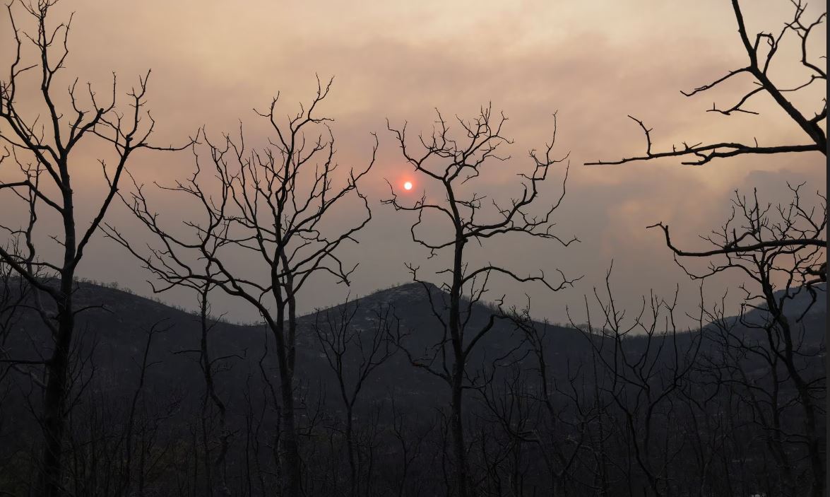 Cháy rừng ở Hy Lạp thiêu rụi diện tích lớn hơn cả thành phố New York - Ảnh 5.