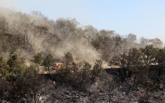 Lính cứu hỏa ở Hy Lạp chiến đấu với đám cháy rừng lớn nhất từng được ghi nhận ở EU - Ảnh 1.