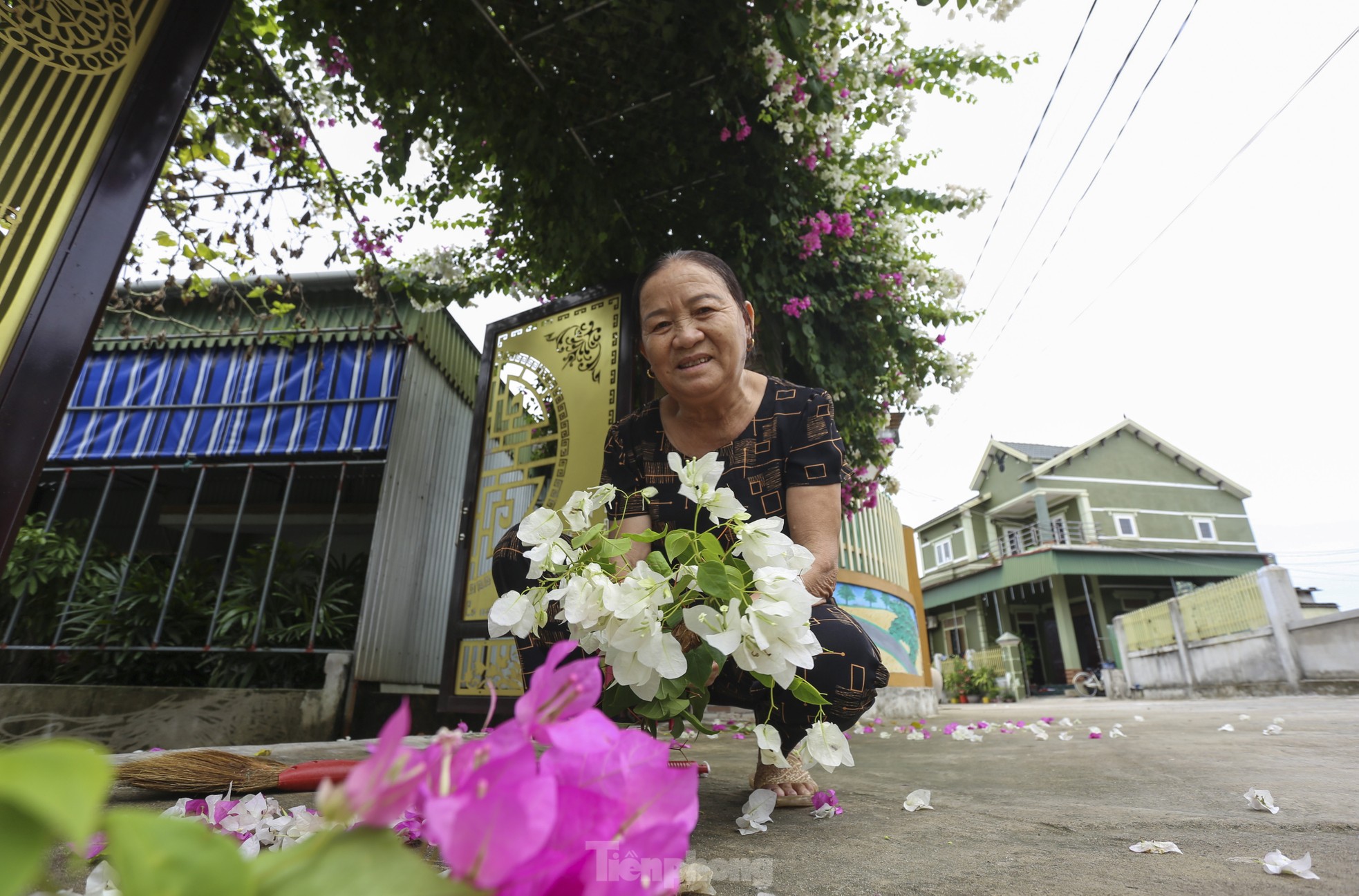 Những cổng hoa giấy khoe sắc rực rỡ ở xã nông thôn mới - Ảnh 6.
