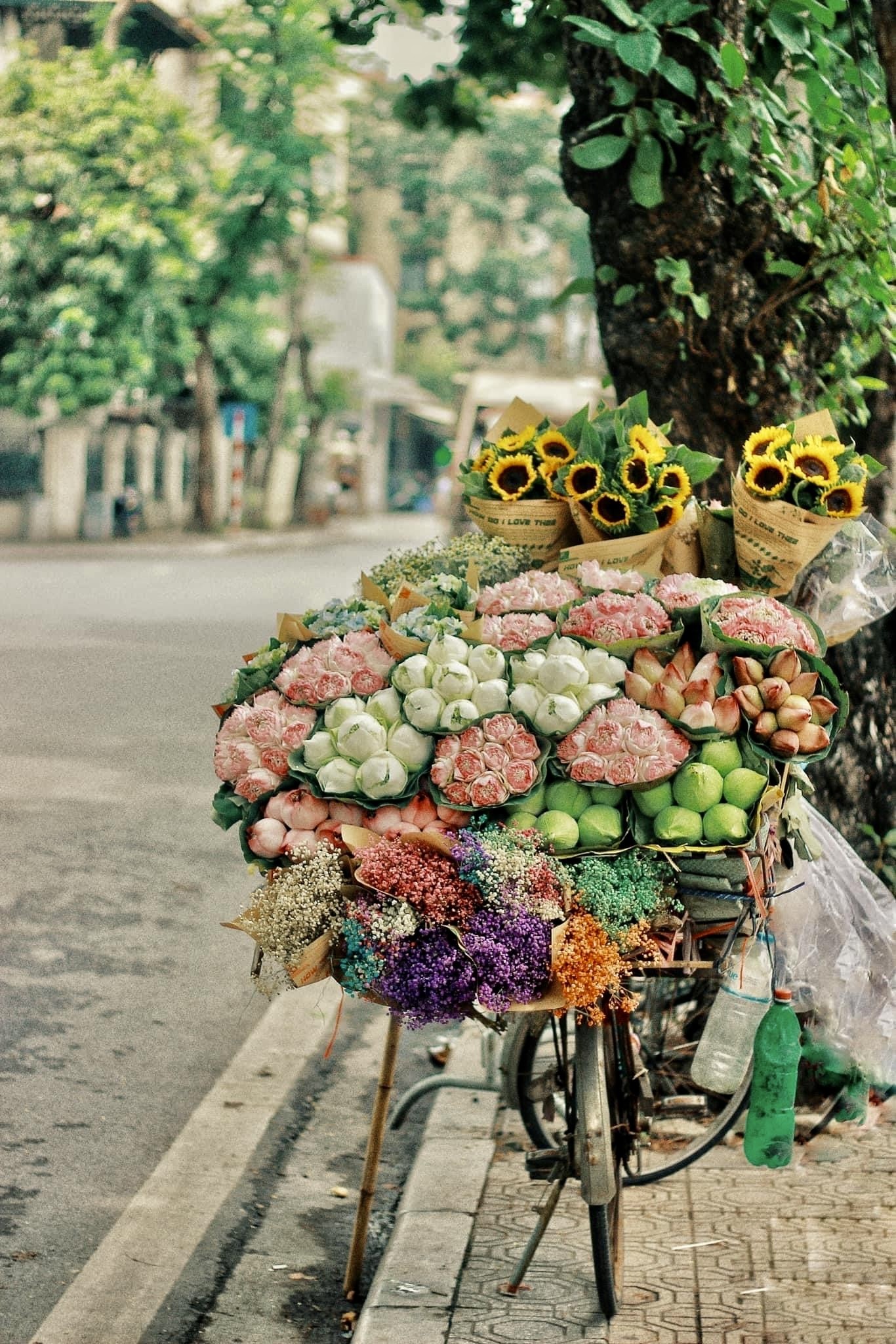 Xe hàng hoa đẹp ngỡ ngàng giữa phố phường Hà Nội - Ảnh 5.