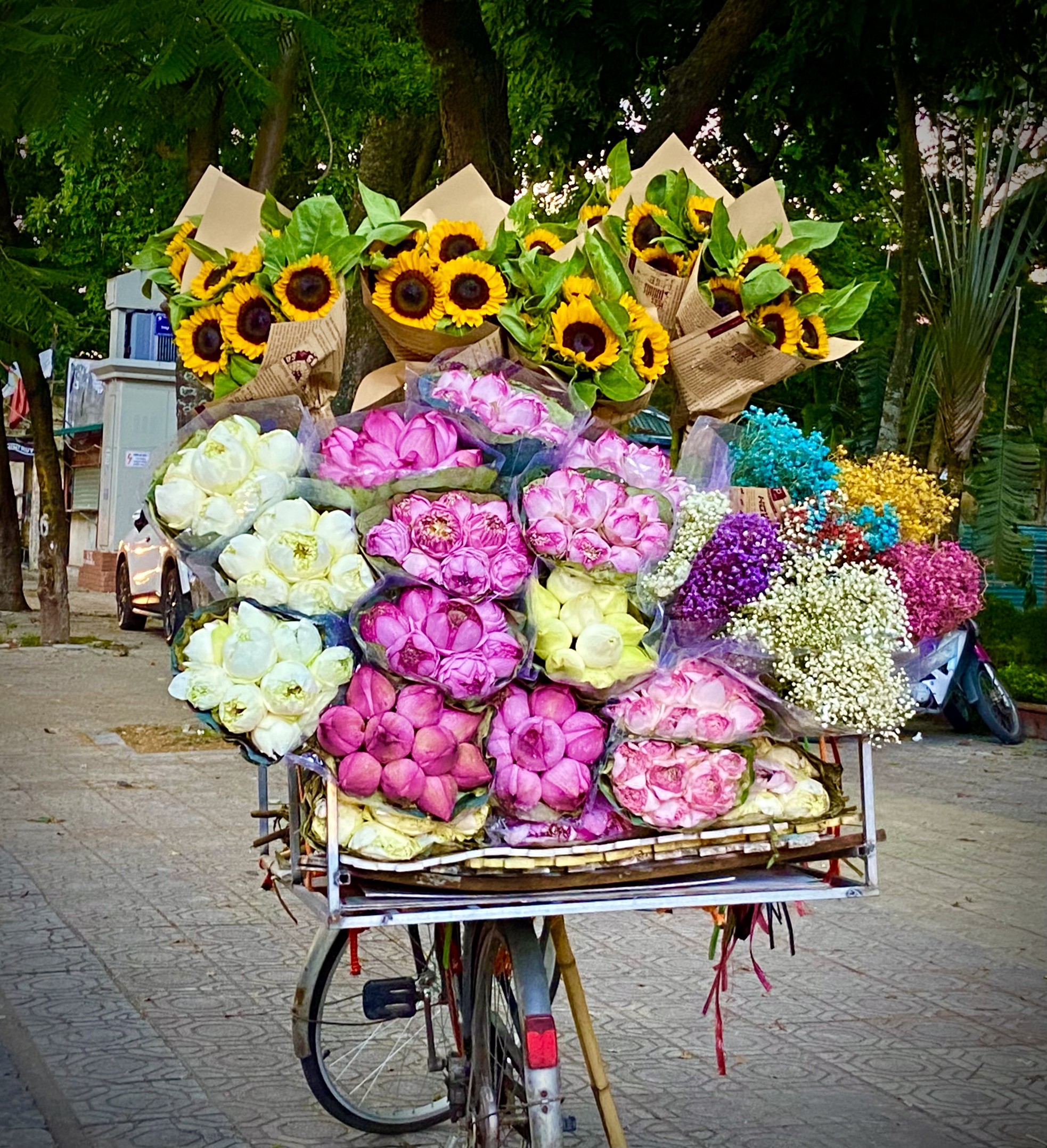 Xe hàng hoa đẹp ngỡ ngàng giữa phố phường Hà Nội - Ảnh 8.