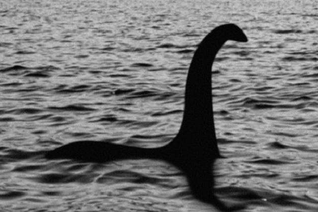 &quot;Thợ săn&quot; quái vật hồ Loch Ness công bố bức ảnh chứng minh sự tồn tại đáng kinh ngạc của thủy quái huyền thoại? - Ảnh 1.