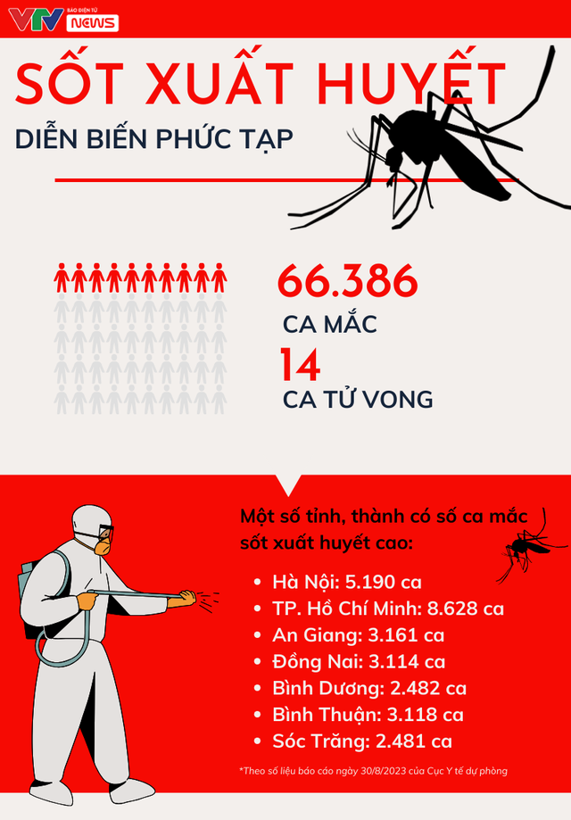 Sốt xuất huyết diễn biến phức tạp - Vì sao khó dập dịch? - Ảnh 2.