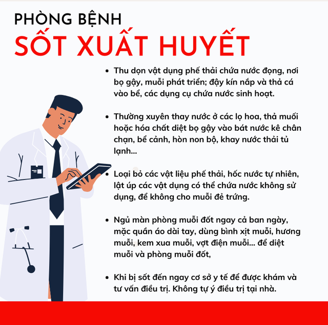 Sốt xuất huyết diễn biến phức tạp - Vì sao khó dập dịch? - Ảnh 9.