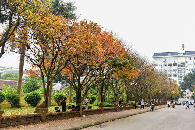 Những góc sống ảo &quot;triệu view&quot; ở các trường ĐH: Nơi có máy bay đi qua, nơi lại gói trọn cả mùa thu Hà Nội! - Ảnh 1.