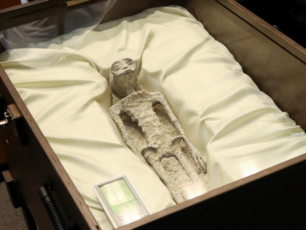 Mexico công bố 2 thi thể người ngoài hành tinh 1000 năm tuổi, chuyên gia:  - Ảnh 3.