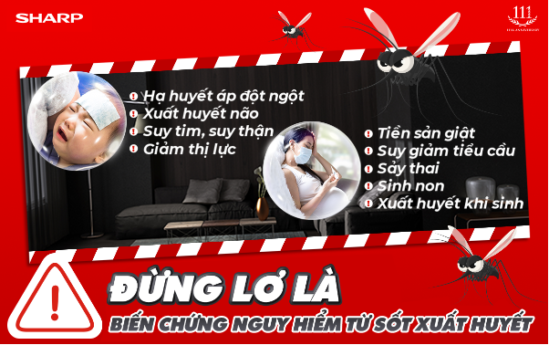 Tuyệt chiêu phòng sốt xuất huyết và bệnh hô hấp hiệu quả, an toàn cho mẹ bầu và trẻ nhỏ - Ảnh 1.