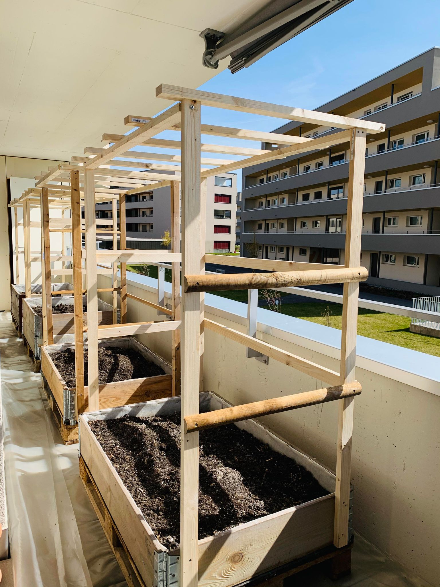 Vợ đảm Việt có vườn rau ban công 14m2 ở Thuỵ Sĩ: Chỉ việc trồng cho chồng chăm, có cả mơ lông và rau má mới đỉnh - Ảnh 4. Vợ đảm Việt có vườn rau ban công 14m2 ở Thuỵ Sĩ: Chỉ việc trồng cho chồng chăm, có cả mơ lông và rau má mới đỉnh - Ảnh 4.