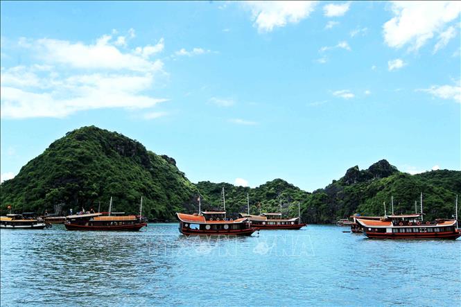 Vịnh Hạ Long - Quần đảo Cát Bà được công nhận là Di sản Thiên nhiên thế giới - Ảnh 2.