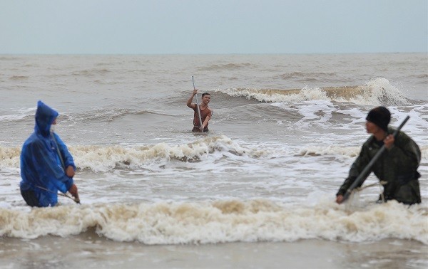 Hàng tấn sò tím dạt vào bờ biển Hà Tĩnh, người dân đổ xô nhặt &quot;lộc trời&quot; - Ảnh 6.