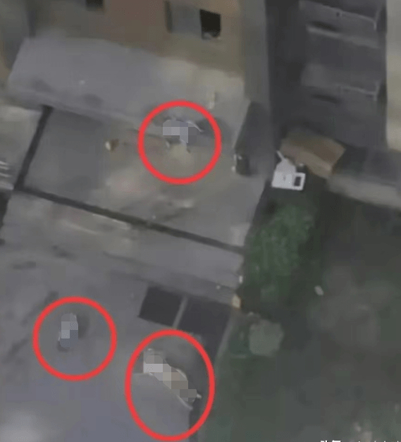 Vụ 3 mẹ con rơi từ tòa nhà chung cư ở Trung Quốc: Một đứa trẻ sống sót, nghi ngờ người mẹ dại dột - Ảnh 2.