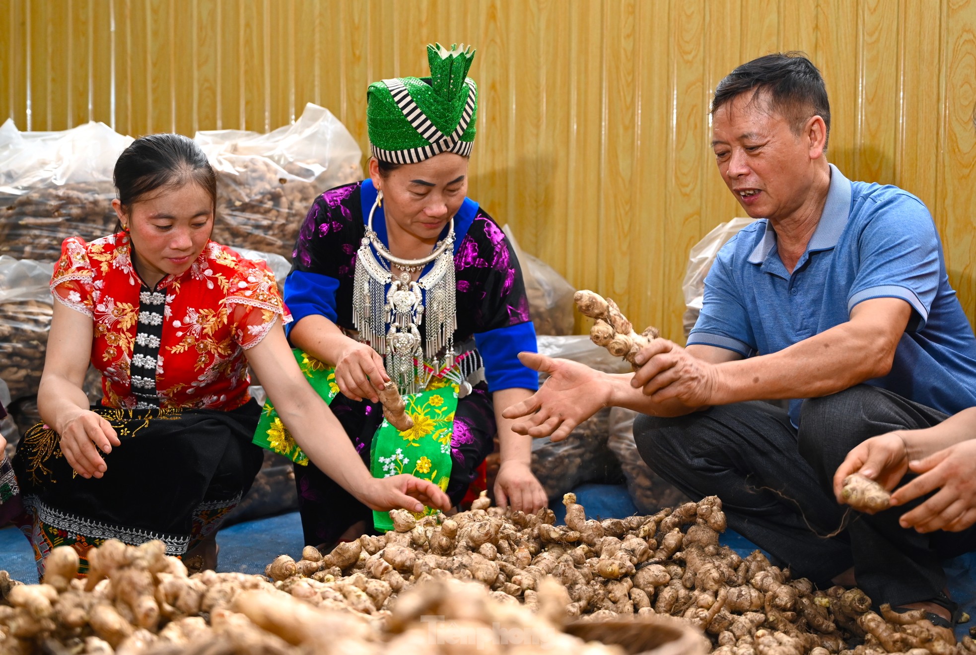 Người &quot;đi đầu dẫn lối&quot; đưa củ gừng của bà con dân bản ra thế giới - Ảnh 9.