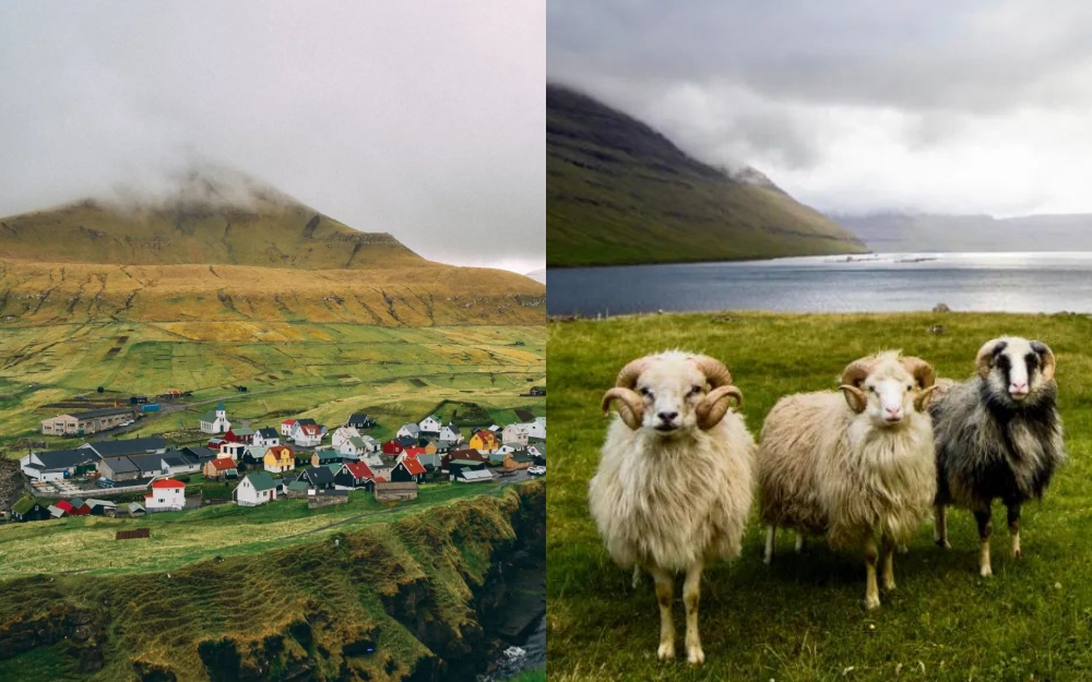 Faroe - quần đảo thiên đường của cừu và những ngôi nhà đầy sắc màu mọc trên cỏ xanh