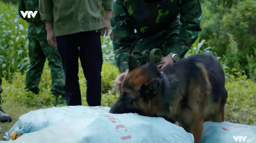 Cuộc chiến kh&ocirc;ng giới tuyến - Tập 8: Cắm chốt bảo vệ Phương, Trung su&yacute;t bị &aacute;m hại - Ảnh 25.