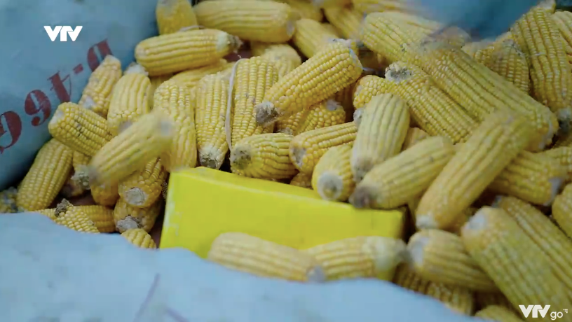 Cuộc chiến kh&ocirc;ng giới tuyến - Tập 8: Cắm chốt bảo vệ Phương, Trung su&yacute;t bị &aacute;m hại - Ảnh 26.