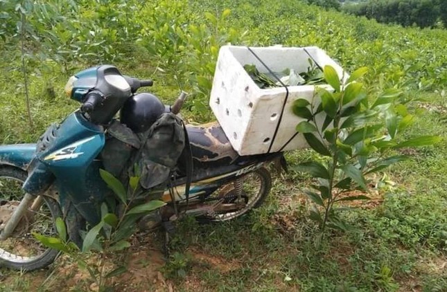 Nguy&ecirc;n nh&acirc;n ban đầu vụ thanh ni&ecirc;n v&agrave;o rừng săn ong tử vong sau 1 tuần mất t&iacute;ch - Ảnh 2.