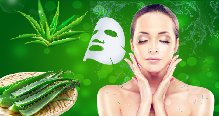 Công dụng tuyệt vời của nha đam trong làm đẹp - Ảnh 2. Công dụng tuyệt vời của nha đam trong làm đẹp - Ảnh 2.