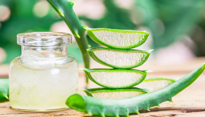 Công dụng tuyệt vời của nha đam trong làm đẹp - Ảnh 1. Công dụng tuyệt vời của nha đam trong làm đẹp - Ảnh 1.