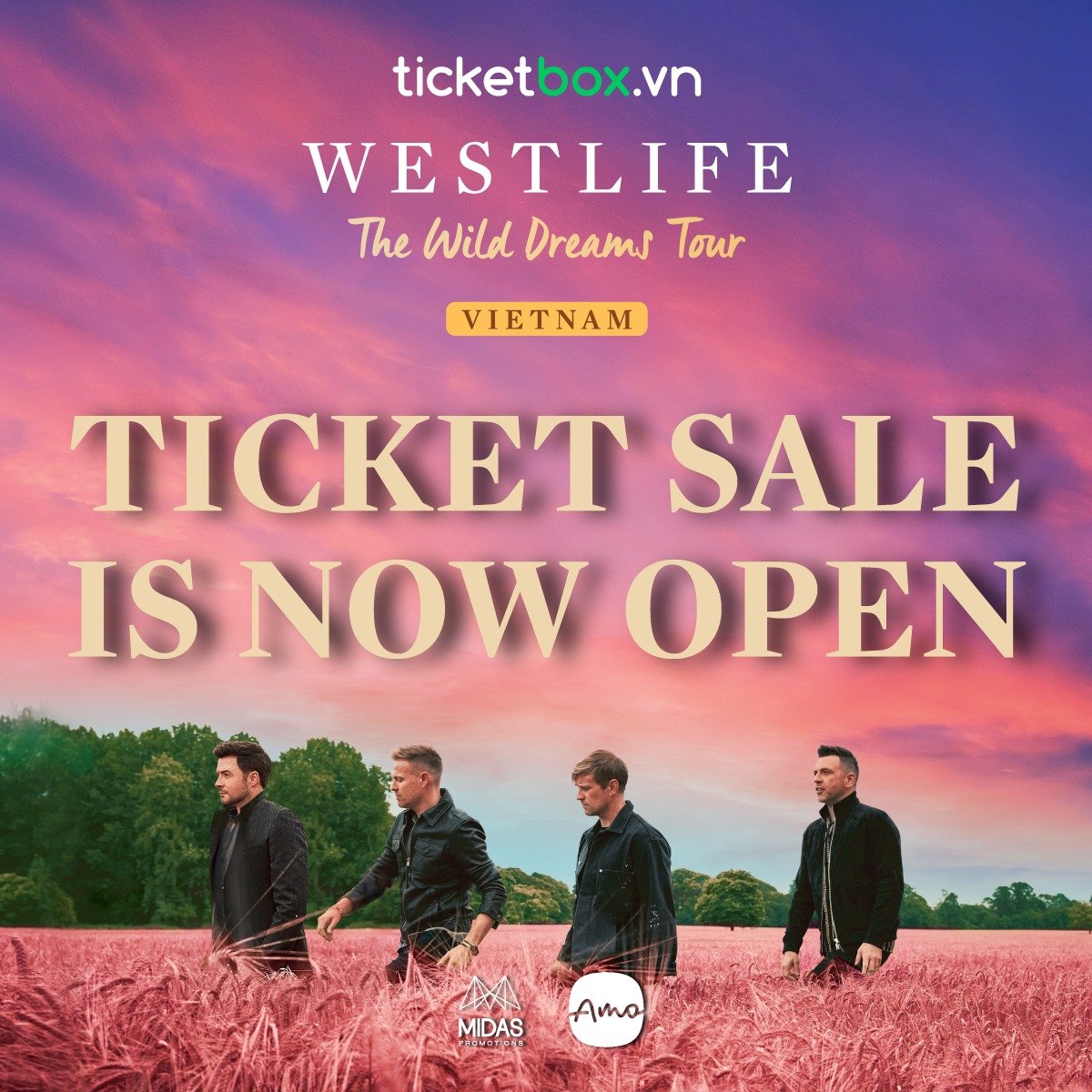 Mở bán vé concert Westlife tại Việt Nam: Web liên tục gặp lỗi nhưng vẫn sold-out toàn bộ khu vực khán đài  - Ảnh 1.