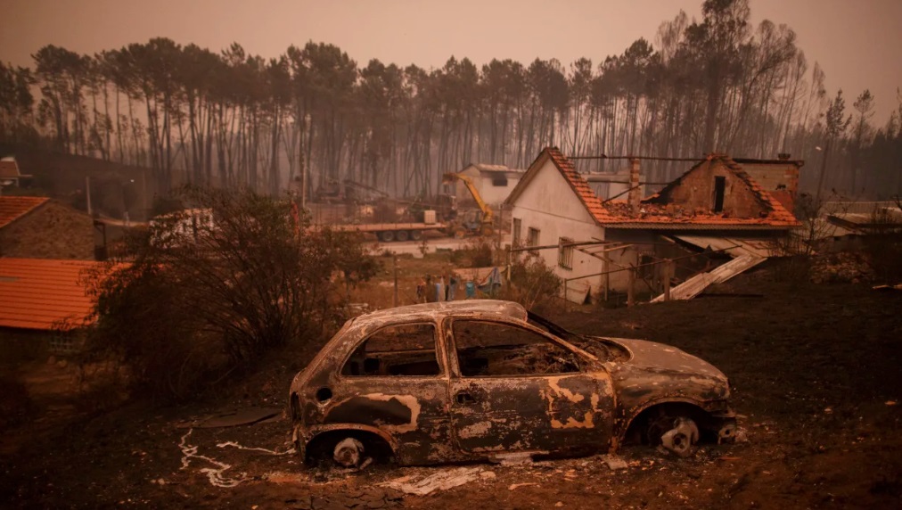 6 bạn trẻ kiện 32 quốc gia châu Âu vì nạn cháy rừng - Ảnh 1.