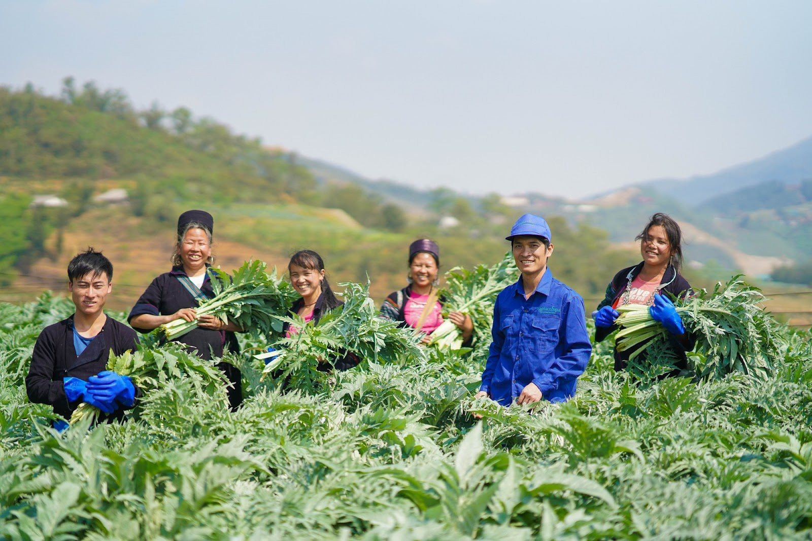 Traphaco và hành trình đảo ngược ‘nghịch lý dược liệu’ ở Việt Nam, nâng thu nhập dân nghèo lên tới trăm triệu/ năm - Ảnh 1. Traphaco và hành trình đảo ngược ‘nghịch lý dược liệu’ ở Việt Nam, nâng thu nhập dân nghèo lên tới trăm triệu/ năm - Ảnh 1.