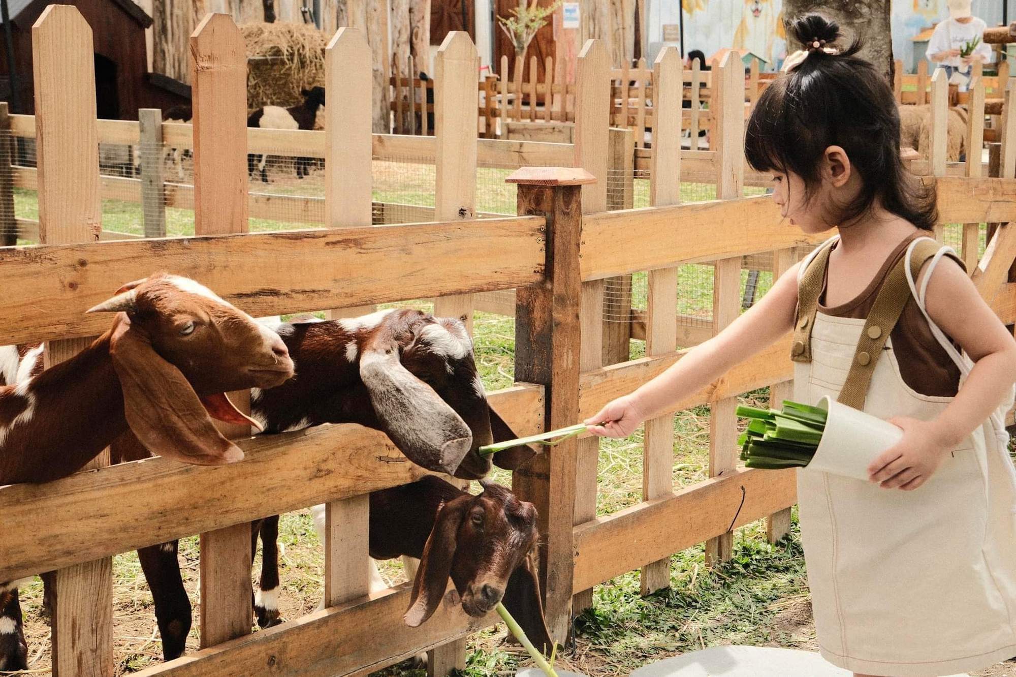 Cho con đi du lịch khắp nơi từ lúc 5 tháng tuổi, mẹ 9x chia sẻ kinh nghiệm quý giá giúp bé không bị ốm - Ảnh 2.