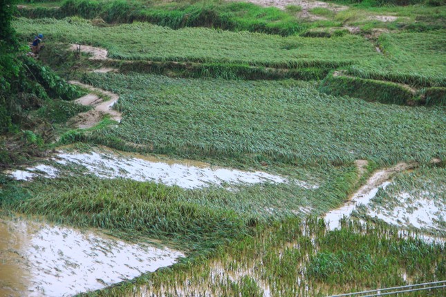 Hình ảnh tan hoang nơi tâm lũ Nghệ An - Ảnh 2. Hình ảnh tan hoang nơi tâm lũ Nghệ An - Ảnh 2.