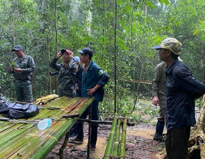 Đồng Nai khẩn trương tìm kiếm người đàn ông đi lạc ở rừng Cát Tiên nhiều ngày - Ảnh 1.