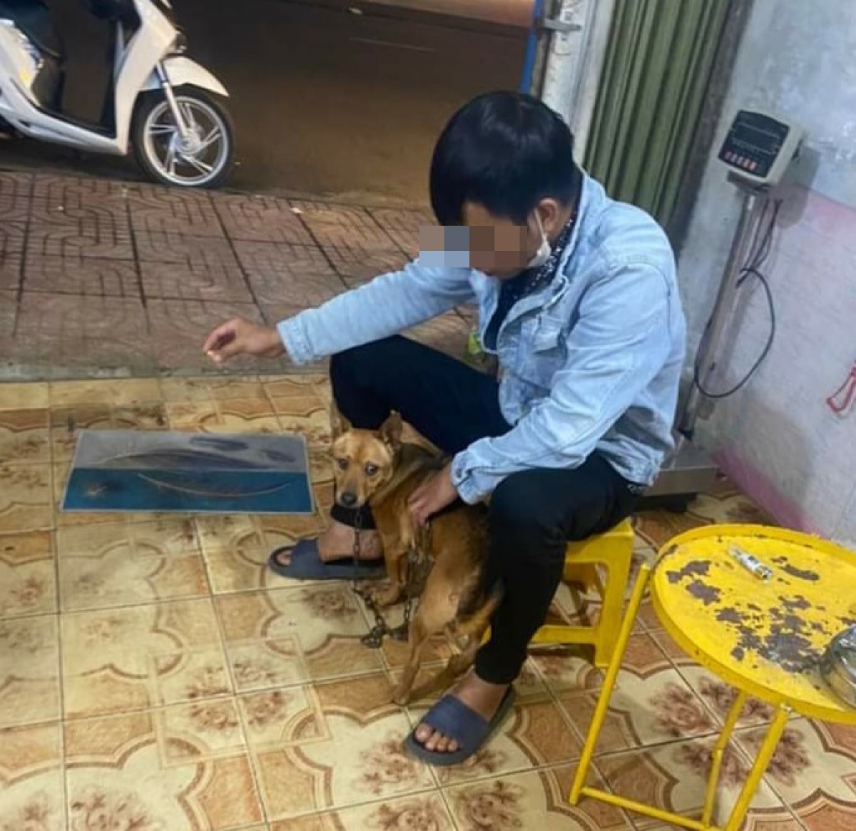 Người đ&agrave;n &ocirc;ng tử vong sau 3 th&aacute;ng bị m&egrave;o cắn - Ảnh 1.