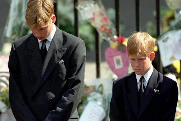 Khoảnh khắc xúc động tại đám tang Công nương Diana 26 năm trước tiết lộ điều đặc biệt về Hoàng tử William - Ảnh 1.