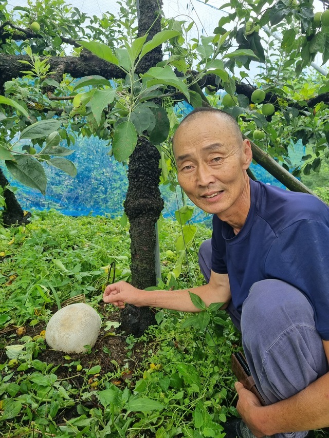 Lão nông &quot;đổi đời&quot; nhờ phát hiện vật thể lạ giống tảng đá kỳ quái khi đi cắt cỏ, giá gần 1 tỷ đồng/kg - Ảnh 3.