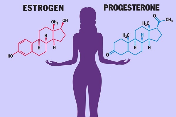 4. Estrogen và Progesterone trong Sức Khỏe Nam Giới