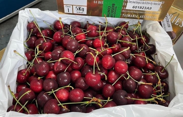 Trái cây nhập ngoại tràn ngập thị trường, giá rẻ chưa từng có - Ảnh 11. Trái cây nhập ngoại tràn ngập thị trường, giá rẻ chưa từng có - Ảnh 11.