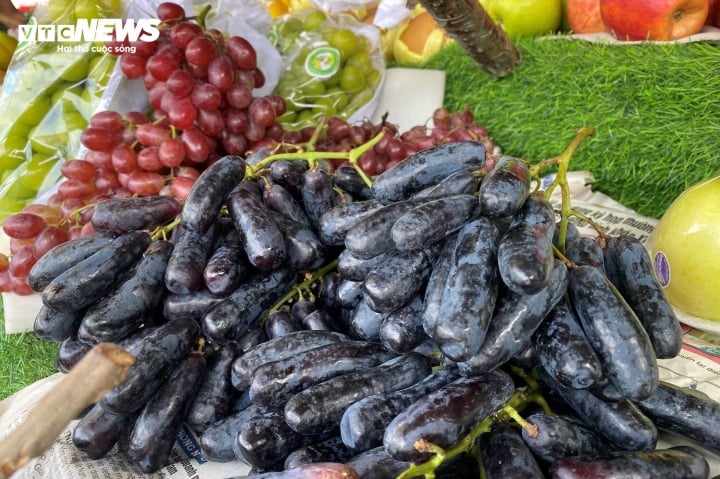 Trái cây nhập ngoại tràn ngập thị trường, giá rẻ chưa từng có - Ảnh 2. Trái cây nhập ngoại tràn ngập thị trường, giá rẻ chưa từng có - Ảnh 2.