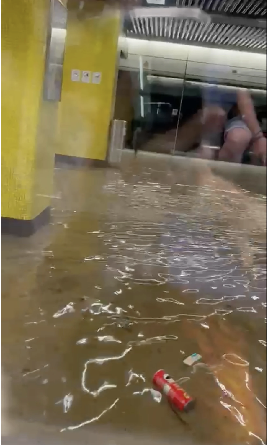 Cận cảnh ngập lụt khủng khiếp ở Hồng Kông - Ảnh 15.