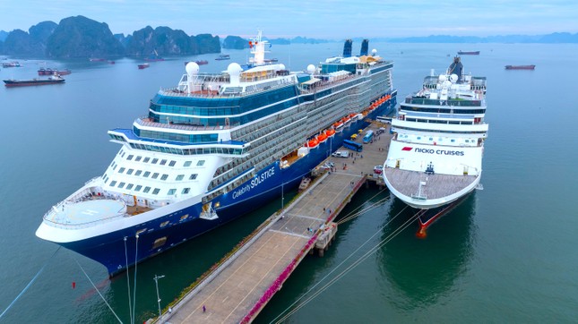 Hai &quot;siêu tàu&quot; đưa gần 3.700 khách quốc tế đến Hạ Long đêm giao thừa - Ảnh 3.