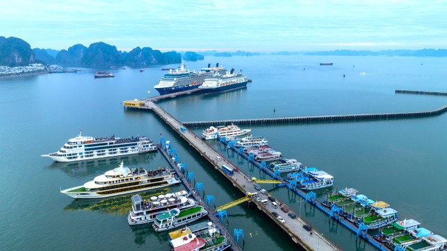 Hai &quot;siêu tàu&quot; đưa gần 3.700 khách quốc tế đến Hạ Long đêm giao thừa - Ảnh 5.