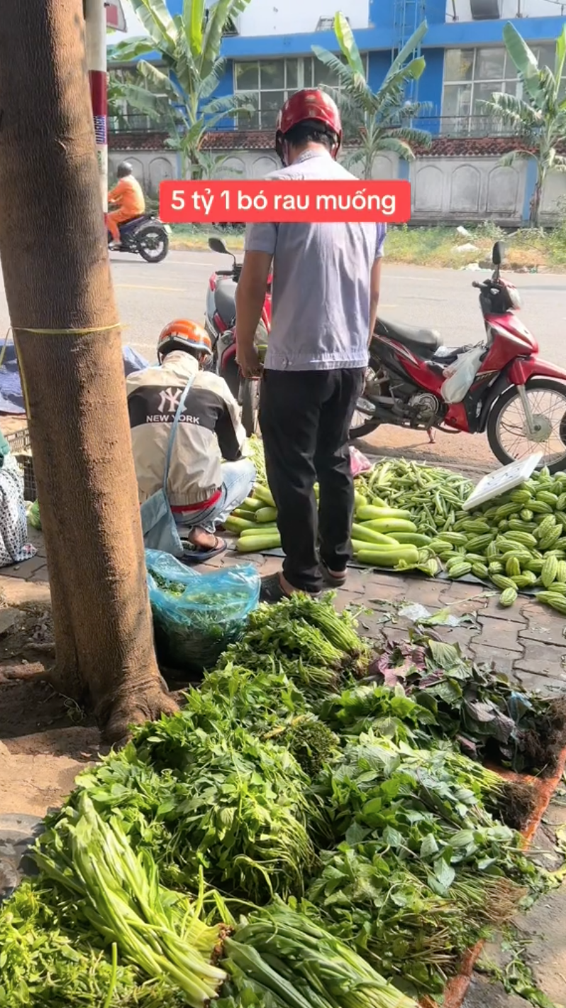 Anh bán rau treo biển 5 tỷ cho bó rau muống đột biến, dân mạng đồng loạt gọi tên Thái Công- Ảnh 4.