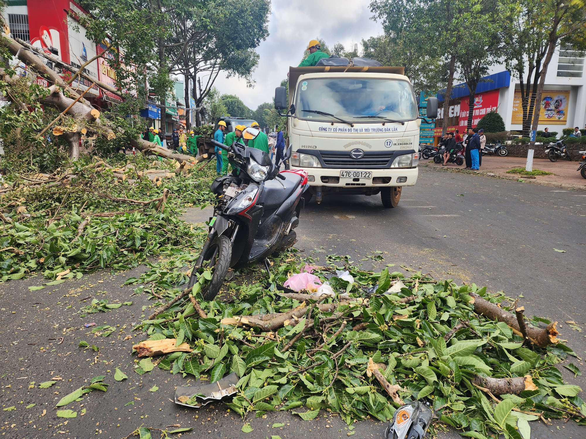 Buôn Ma Thuột: Cây cổ thụ gãy đổ, đè người đi đường- Ảnh 5.