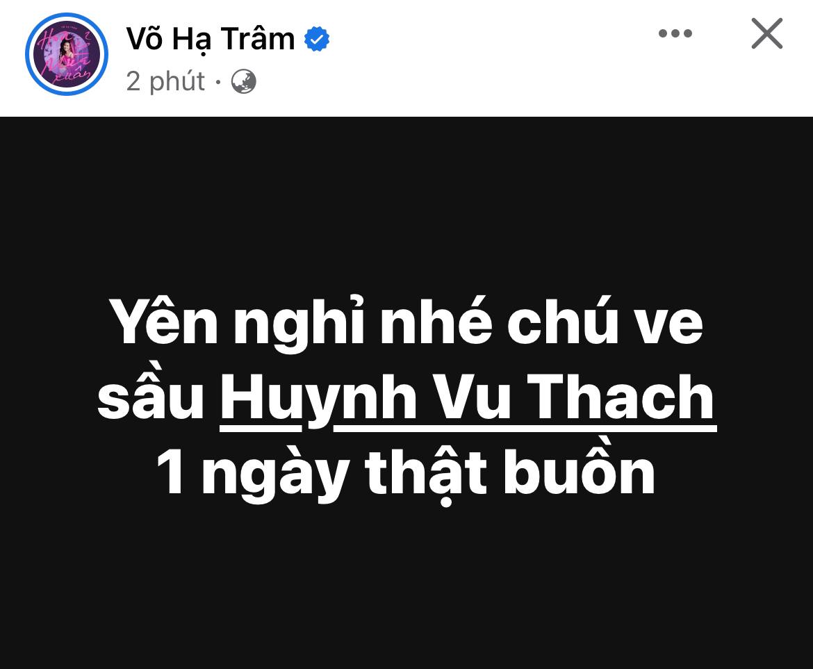 Huỳnh Vũ Thạch nhóm Ve sầu qua đời sau khi bị đột quỵ- Ảnh 3.