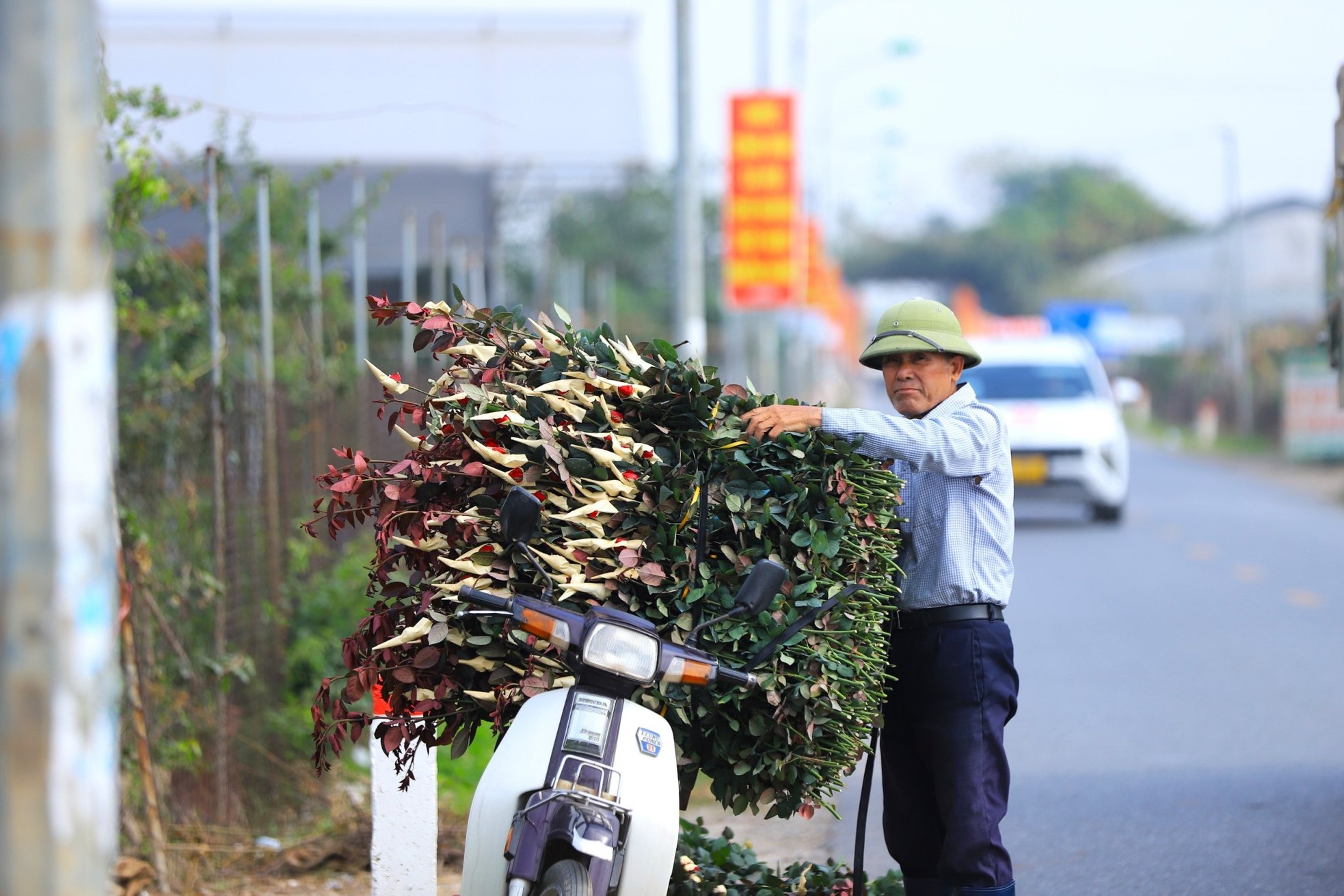 Người dân trồng hoa Mê Linh tất bật vào vụ Tết - Ảnh 6.