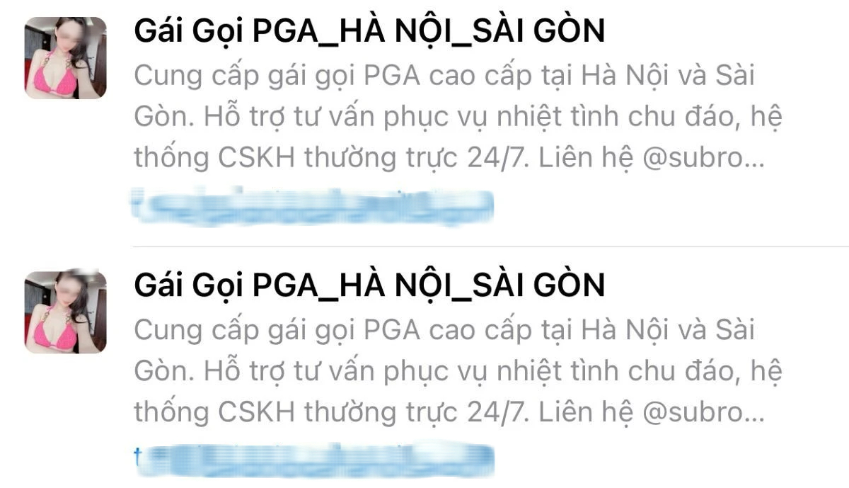 Lập nhóm &quot;Gái gọi PGA Hà Nội-Sài Gòn&quot; trên mạng xã hội để lừa đảo- Ảnh 2.