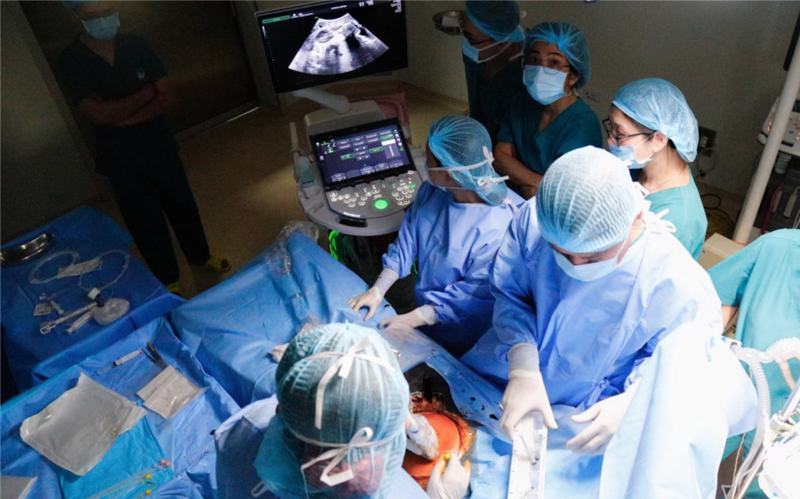 4 yếu tố làm nên thành công 2 ca thông tim can thiệp bào thai đầu tiên tại Việt Nam - Ảnh 1.